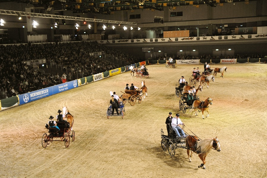 馬展，德國馬展，馬匹比賽
