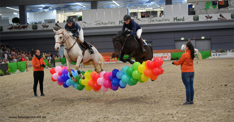 馬展，德國馬展，馬匹比賽